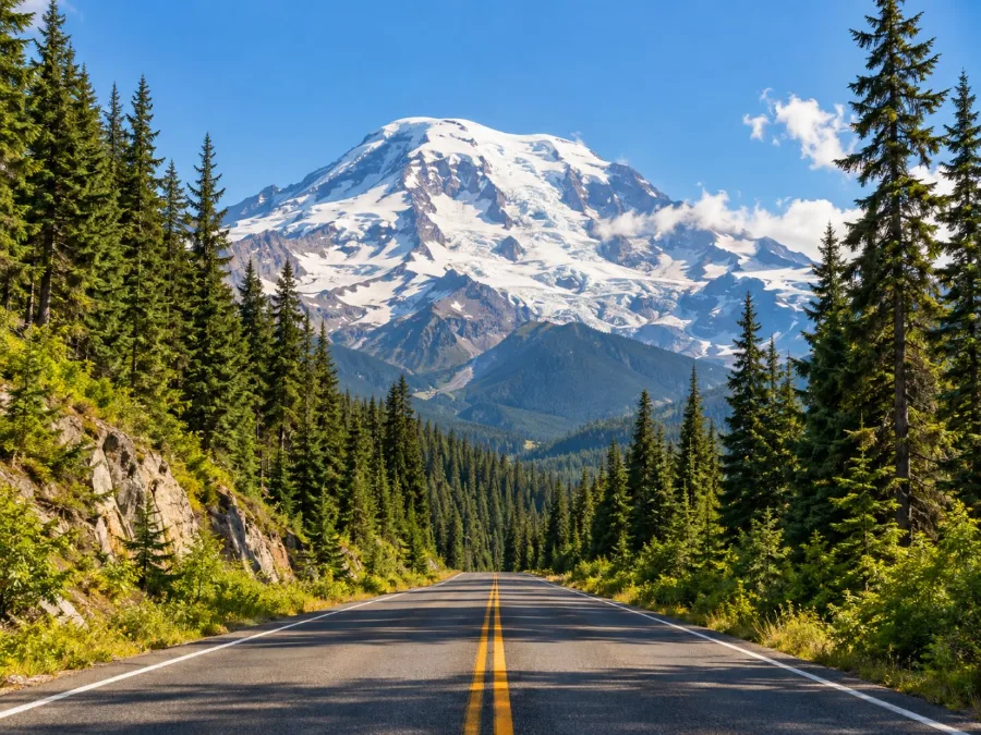 Eine zweispurige Straße durch hohe Nadelbäume, vorne der Mount Rainier