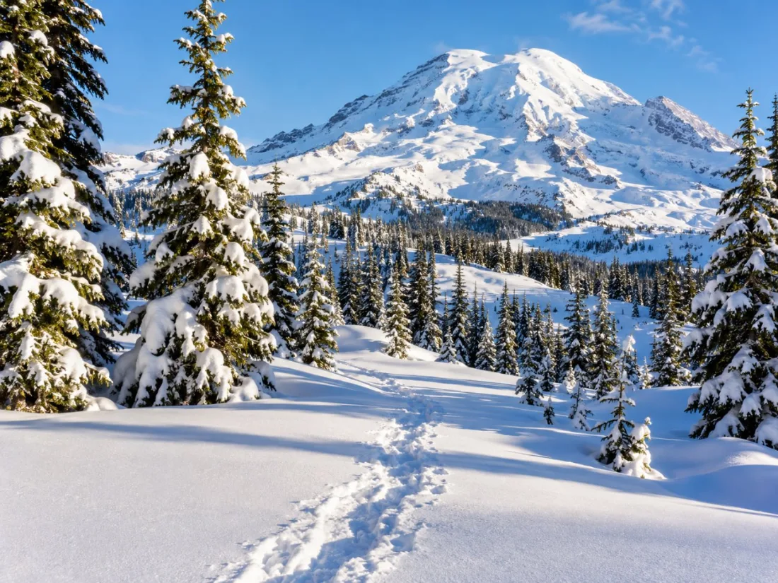 Schneeschuhspuren im tiefen Schnee bei Paradise im Winter
